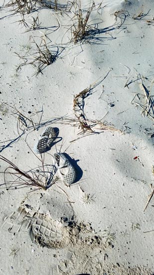 abandoned shoes on the beach