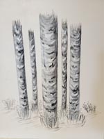 Birch tree trunks with tiny flowers at the bases