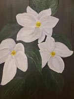White flowers on dark green background.