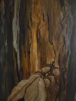 Oak tree trunk and leaf in shades of brown
