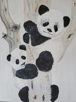 Two pandas in a tree